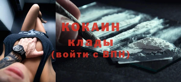 шишки Армянск