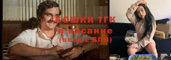 шишки Армянск