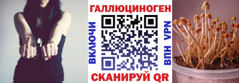 Галлюциногенные грибы мухоморы Городец